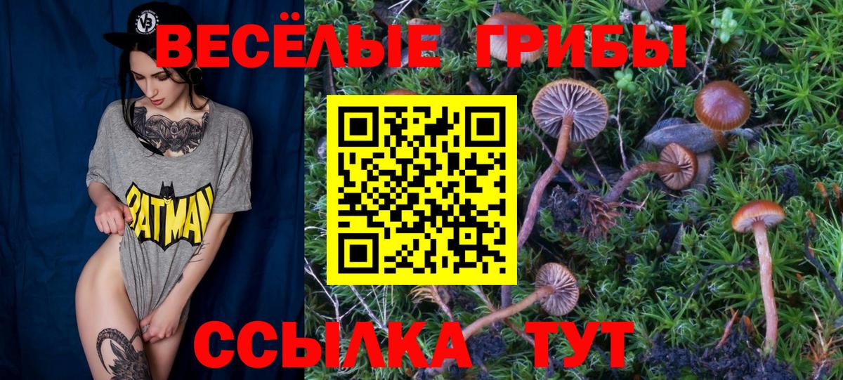 Псилоцибиновые грибы GOLDEN TEACHER Пермь