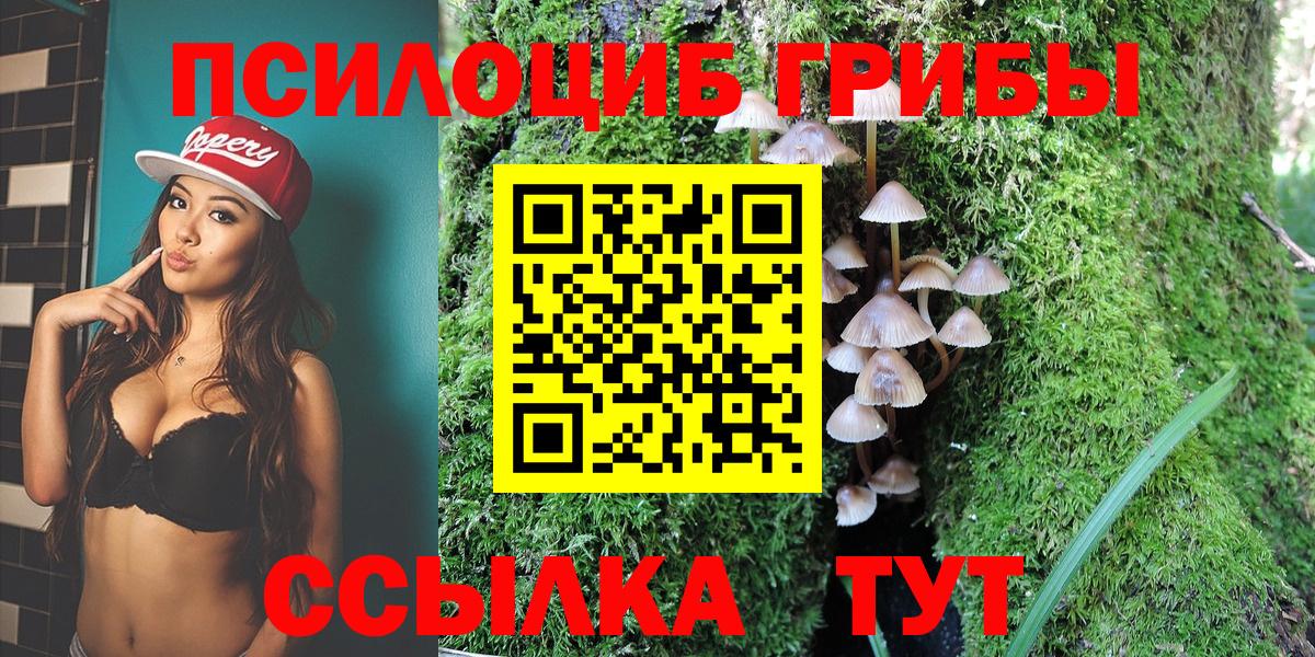 Псилоцибиновые грибы мухоморы  Псилоцибиновые грибы Psilocybe  Вход с VPN  Пермь 